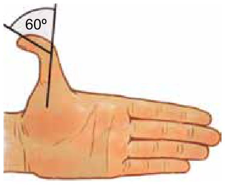 Ilustração de uma mão com a parte superior do polegar flexionada para trás em um ângulo indicado de 60 graus.