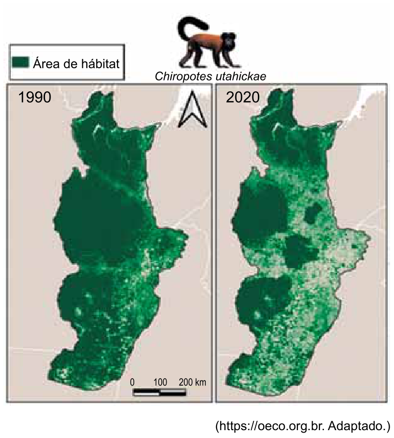 Mapas comparando a área de hábitat do cuxiú-marrom (Chiropotes utahickae) entre os anos de 1990 e 2020, mostrando fragmentação e redução da cobertura vegetal indicada pela cor verde.