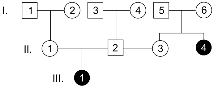 Heredograma com três gerações, representadas pelos algarismos romanos I, II e III. Na geração I, há três casais formados por homens (quadrados) e mulheres (círculos) não afetados: I-1 com I-2 gerando a filha II-1; I-3 com I-4 gerando o filho II-2; I-5 com I-6 gerando as filhas II-3 e II-4, sendo II-4 preenchida de preto (afetada). Na geração II, os indivíduos II-1 e II-2 geram a filha III-1, preenchida de preto (afetada). Uma linha une II-2 e II-3.