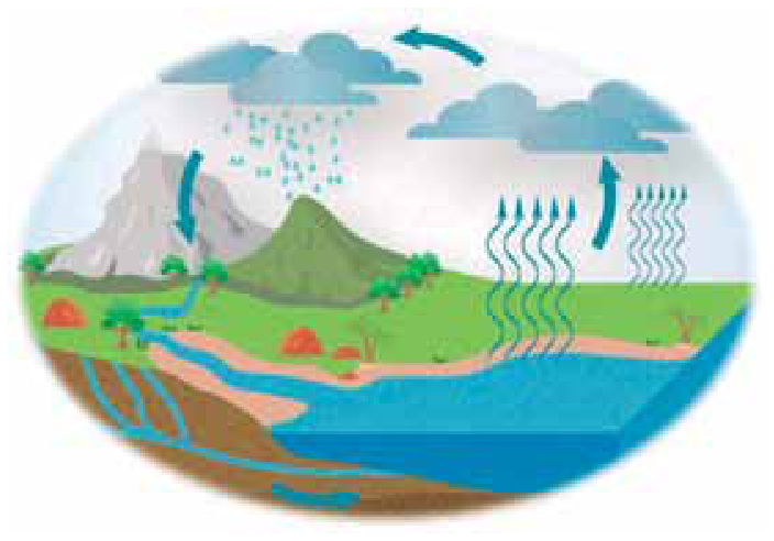 Ilustração em formato oval do ciclo hidrológico, exibindo a evaporação a partir de massas de água em direção à atmosfera, condensação em nuvens, transporte, precipitação em forma de chuva sobre montanhas e solo, seguida de escoamento e infiltração na terra de volta ao oceano.