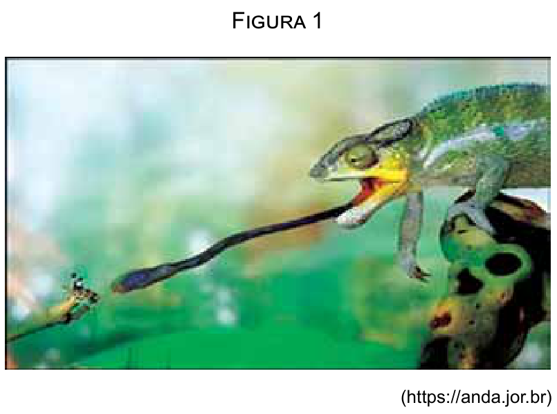 Figura 1: Camaleão projetando sua língua comprida em direção a um inseto para capturá-lo.