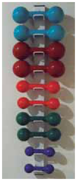 Exemplo de armazenamento perfeito com halteres dispostos em pares de mesma cor em um suporte vertical: azul-claro, marrom, vermelho, verde-escuro e roxo