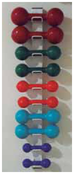 Exemplo de armazenamento perfeito com halteres dispostos em outra ordem de pares em um suporte vertical: marrom, verde-escuro, vermelho, azul-claro e roxo