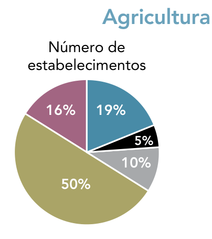 Agricultura. Gráfico de setores intitulado “Número de estabelecimentos”, com as proporções por macrorregião: Nordeste, 50%; Sudeste, 16%; Sul, 19%; Centro-Oeste, 5%; Norte, 10%. As cores correspondem à legenda apresentada no segundo gráfico.