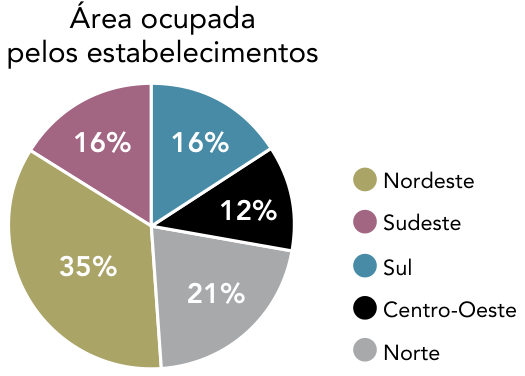 Gráfico de setores intitulado “Área ocupada pelos estabelecimentos”, com as proporções por macrorregião: Nordeste, 35%; Sudeste, 16%; Sul, 16%; Centro-Oeste, 12%; Norte, 21%. À direita, a legenda associa Nordeste à cor verde-oliva, Sudeste à cor roxa, Sul à cor azul, Centro-Oeste à cor preta e Norte à cor cinza.