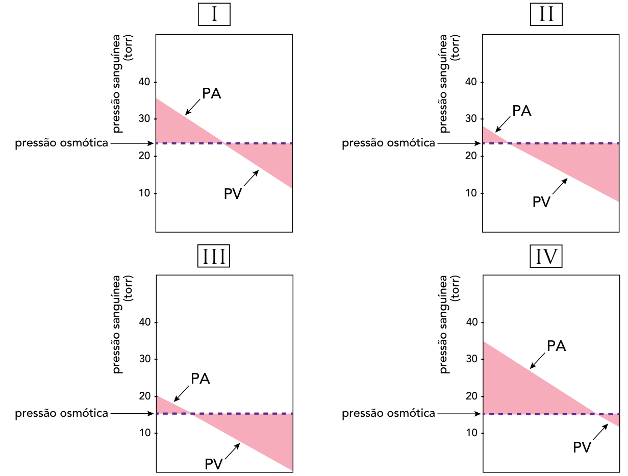 Quatro gráficos, identificados como I, II, III e IV, dispostos em duas linhas e duas colunas. Todos têm eixo vertical intitulado “pressão sanguínea (torr)”, com marcações em 10, 20, 30 e 40, e uma linha descendente da extremidade arterial à venosa, indicada por setas com os rótulos PA e PV. Uma linha horizontal tracejada roxa, indicada por uma seta com o texto “pressão osmótica”, cruza cada gráfico. A região entre a linha descendente e a horizontal é preenchida em rosa. No gráfico I, a pressão sanguínea diminui de aproximadamente 35 para 11 torr e a pressão osmótica está em aproximadamente 24 torr. No gráfico II, a pressão sanguínea diminui de aproximadamente 28 para 8 torr e a pressão osmótica está em aproximadamente 24 torr. No gráfico III, a pressão sanguínea diminui de 20 para aproximadamente 0 torr e a pressão osmótica está em aproximadamente 15 torr. No gráfico IV, a pressão sanguínea diminui de aproximadamente 35 para 12 torr e a pressão osmótica está em aproximadamente 15 torr.