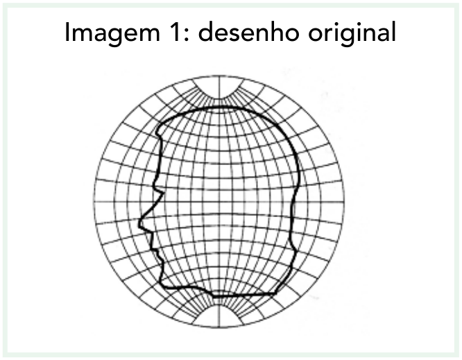 Imagem 1: perfil de uma cabeça humana desenhado sobre uma representação do globo terrestre com coordenadas esféricas convergentes nos polos.