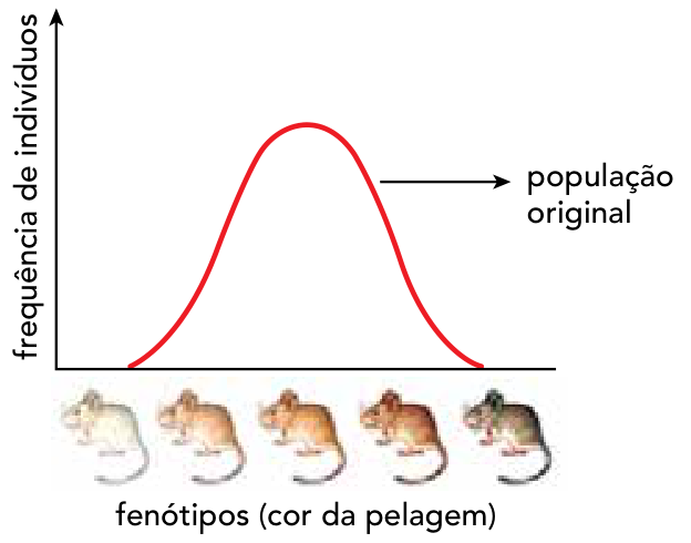 Gráfico da população original com curva unimodal da frequência de indivíduos pelos fenótipos de cor da pelagem