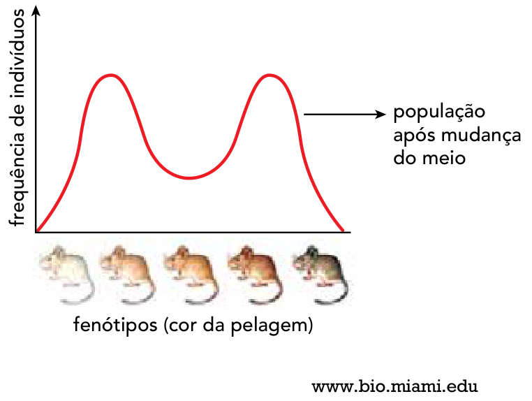 Gráfico da população após mudança do meio com curva bimodal da frequência de indivíduos pelos fenótipos de cor da pelagem