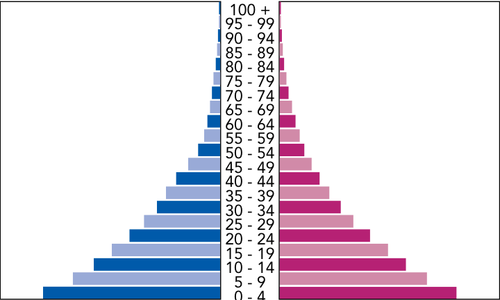 Pirâmide etária com formato estritamente triangular e base extremamente larga