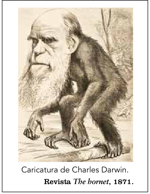 Caricatura de Charles Darwin como um primata com corpo de macaco e cabeça humana barbada. Abaixo da imagem lê-se: Caricatura de Charles Darwin. Revista The hornet, 1871.