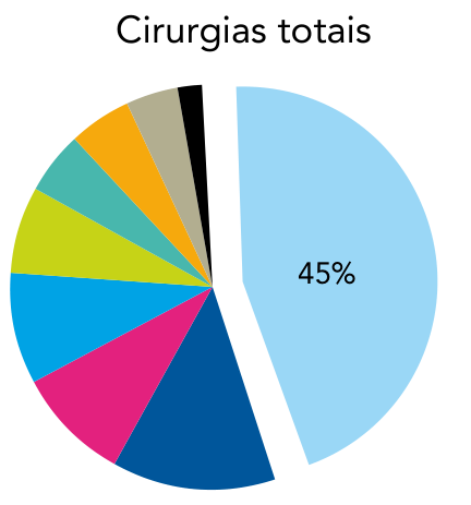 Gráfico de setores com o título "Cirurgias totais", destacando a fatia de 45% referente a fêmur, além das demais fatias coloridas.