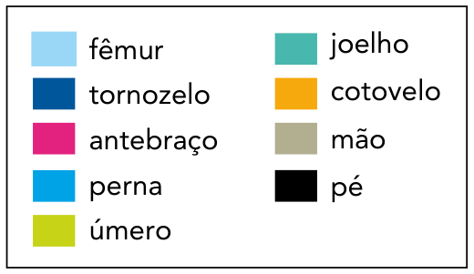 Legenda de cores: azul-claro para fêmur, azul-escuro para tornozelo, rosa para antebraço, azul-vivo para perna, verde-oliva para úmero, verde-água para joelho, amarelo para cotovelo, cinza para mão e preto para pé.