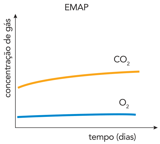 Gráfico de concentração de gás em função do tempo para embalagem EMAP
