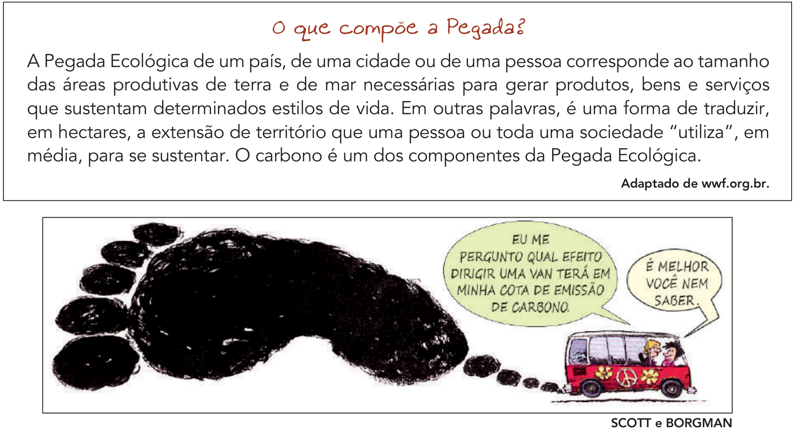 Na parte superior, um quadro com o título "O que compõe a Pegada?" traz o texto: "A Pegada Ecológica de um país, de uma cidade ou de uma pessoa corresponde ao tamanho das áreas produtivas de terra e de mar necessárias para gerar produtos, bens e serviços que sustentam determinados estilos de vida. Em outras palavras, é uma forma de traduzir, em hectares, a extensão de território que uma pessoa ou toda uma sociedade 'utiliza', em média, para se sustentar. O carbono é um dos componentes da Pegada Ecológica." com a indicação "Adaptado de wwf.org.br.". Na parte inferior, uma charge mostra uma van decorada com temática hippie expelindo pelo escapamento uma grande nuvem de fumaça preta no formato de uma pegada humana. No interior do veículo, uma personagem diz em um balão de fala: "EU ME PERGUNTO QUAL EFEITO DIRIGIR UMA VAN TERÁ EM MINHA COTA DE EMISSÃO DE CARBONO.", ao que a outra responde: "É MELHOR VOCÊ NEM SABER.".