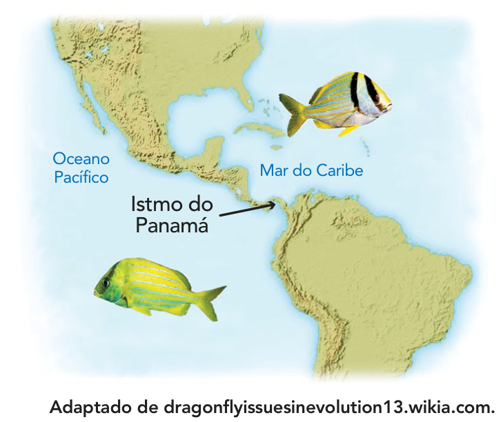 Mapa das Américas Central e do Sul destacando a separação entre o Oceano Pacífico e o Mar do Caribe pelo Istmo do Panamá, ilustrando duas espécies de peixes correlatas, uma em cada lado do istmo.