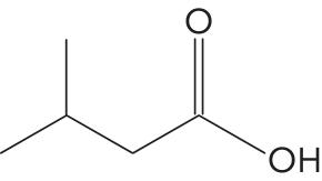 Fórmula estrutural de um ácido carboxílico com cadeia principal de quatro carbonos e grupo metil no carbono 3