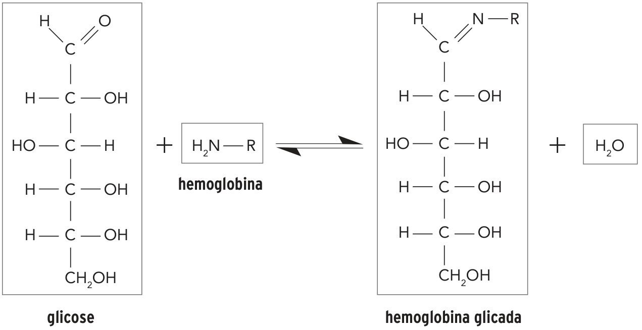 F2 Esquema de reação reversível entre glicose e hemoglobina, formando hemoglobina glicada e água. À esquerda, a estrutura aberta da glicose apresenta o grupo H–C=O no topo, seguido de quatro carbonos com H à esquerda e OH à direita no primeiro, terceiro e quarto, e HO à esquerda e H à direita no segundo; na extremidade inferior, CH₂OH. A estrutura está identificada como “glicose”. Após um sinal de adição, aparece H₂N–R, identificado como “hemoglobina”. Duas setas em sentidos opostos conduzem à estrutura identificada como “hemoglobina glicada”, com H–C=N–R no topo e o restante da cadeia com os mesmos grupos e posições da glicose. Após outro sinal de adição, aparece H₂O. As estruturas da glicose e da hemoglobina glicada, assim como H₂N–R e H₂O, estão delimitadas por retângulos.