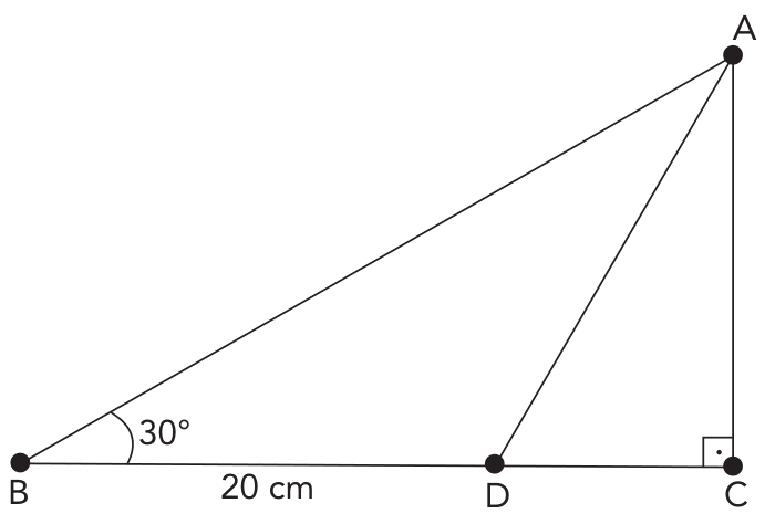 Triângulo retângulo ABC, reto em C, com vértice B à esquerda, C à direita e A no topo. O ângulo no vértice B mede 30°. Um segmento liga o vértice A a um ponto D sobre o lado BC, sendo a medida do segmento BD igual a 20 cm.