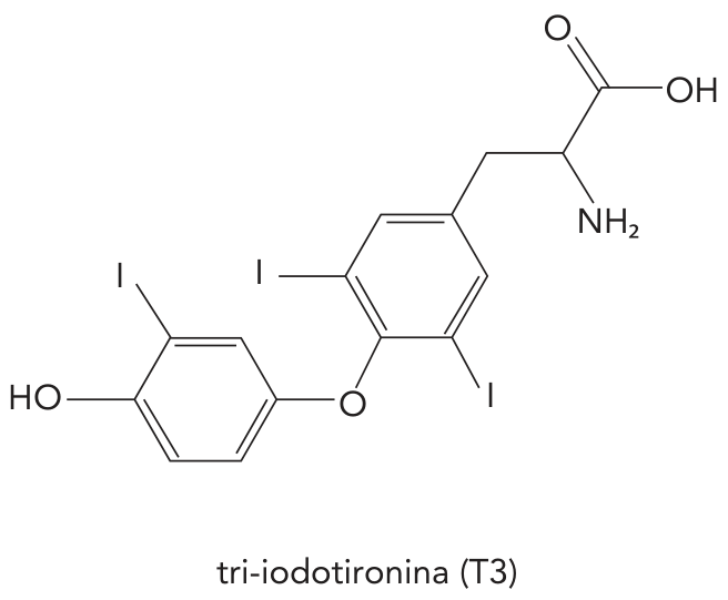 Fórmula estrutural da tri-iodotironina (T3)