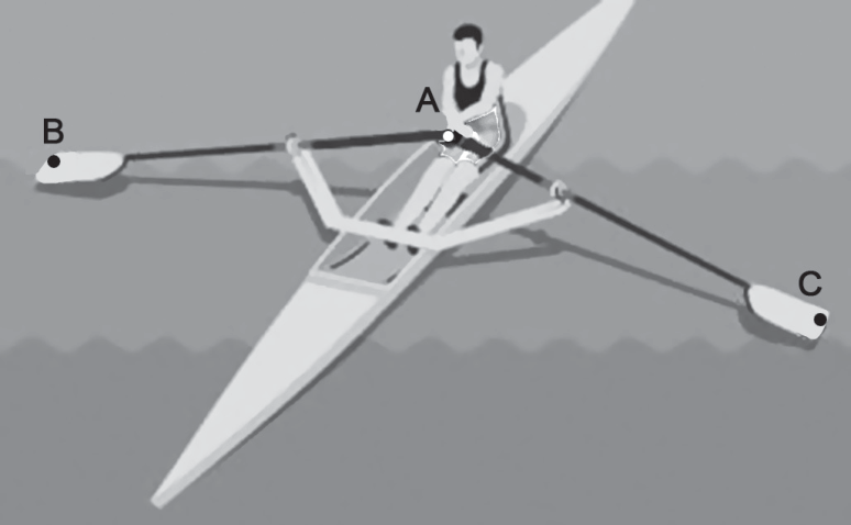 Ilustração vista superior de um remador em um barco de remo de assento deslizante. O remador segura dois remos que se unem no ponto A, com as pás opostas indicadas pelos pontos B e C, formando com os remos um ângulo obtuso com vértice em A.