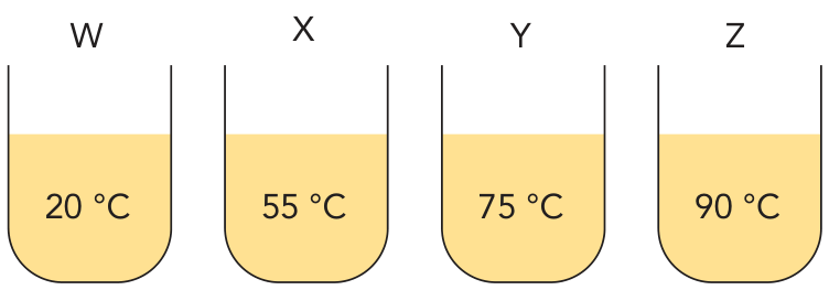 Quatro recipientes cilíndricos, rotulados como W, X, Y e Z, contendo volumes iguais de um mesmo líquido amarelo com as seguintes temperaturas indicadas em cada um: W a 20 °C, X a 55 °C, Y a 75 °C e Z a 90 °C.