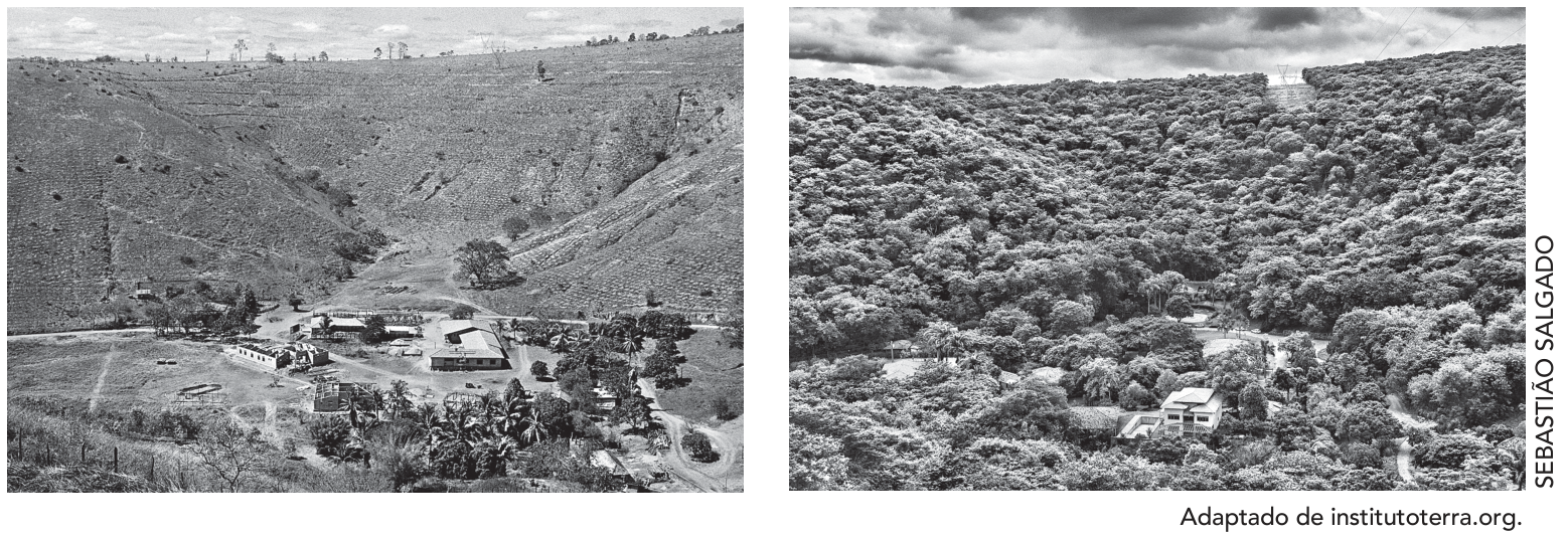 F1 Duas fotografias da mesma paisagem de vale e encostas em Minas Gerais: à esquerda, a área antes do reflorestamento, apresentando solo degradado, vegetação rasteira escassa e construções rurais expostas; à direita, a mesma paisagem anos depois, inteiramente coberta por vegetação densa e arbórea.