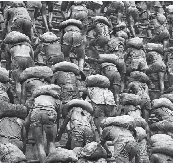Fotografia em preto e branco de Sebastião Salgado mostrando dezenas de garimpeiros em Serra Pelada, carregando sacos de terra nas costas enquanto sobem escadas de madeira fincadas na encosta de lama.