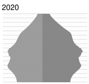 Projeção da pirâmide etária da população brasileira para 2020