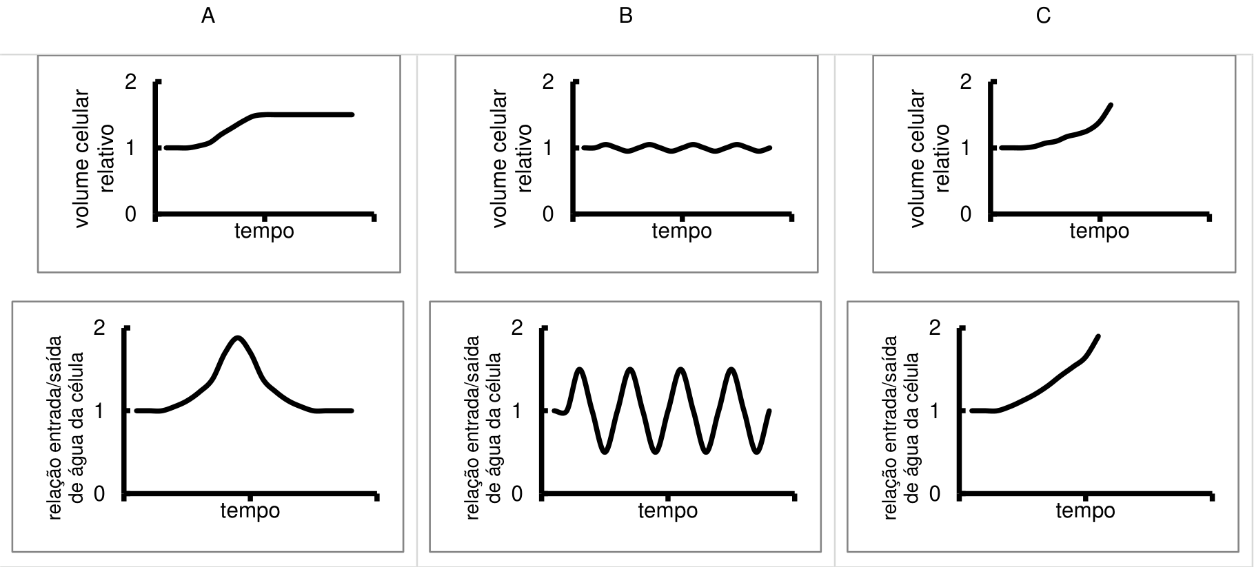 Gráficos A, B e C da variação do volume celular e da relação entrada/saída de água ao longo do tempo