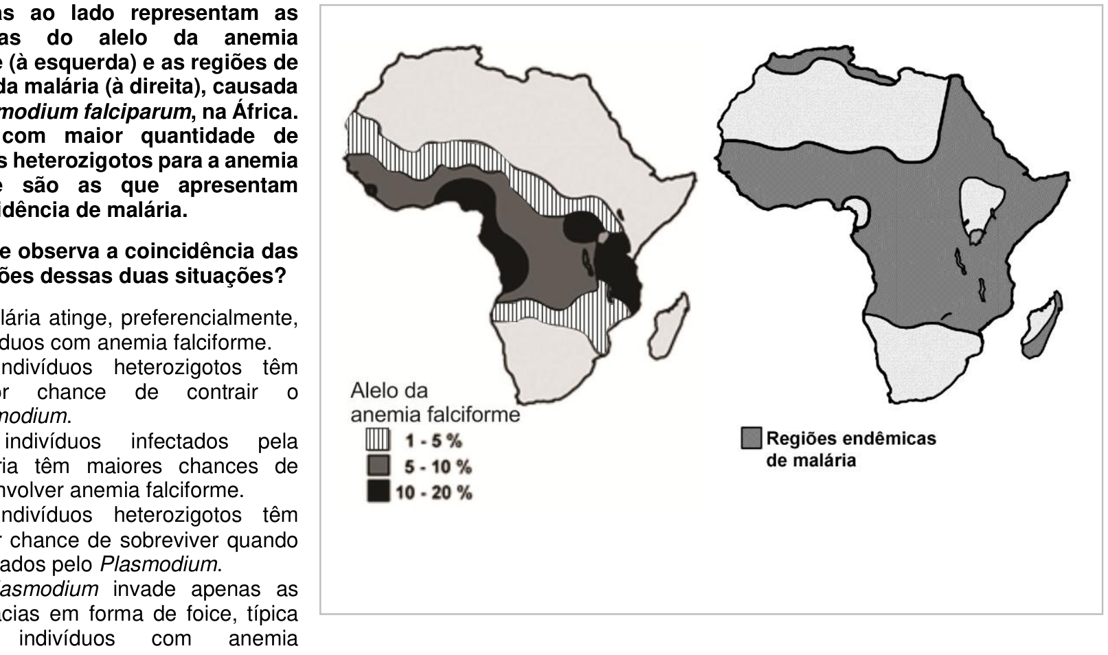 Dois mapas da África: à esquerda, distribuição e frequência do alelo da anemia falciforme dividida em três faixas (1 - 5%, 5 - 10% e 10 - 20%); à direita, mapa indicando em sombreado as regiões endêmicas de malária, com grande sobreposição geográfica em relação às áreas de maior frequência do alelo.