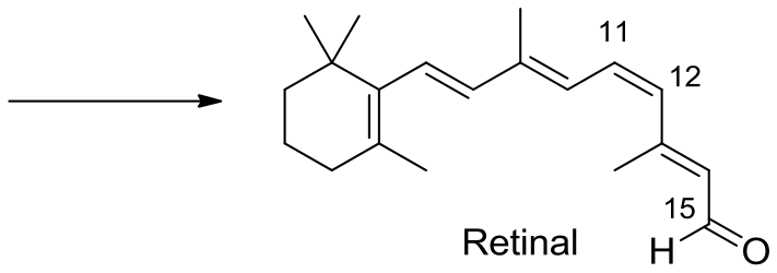 Seta de reação apontando para a direita seguida da estrutura do retinal