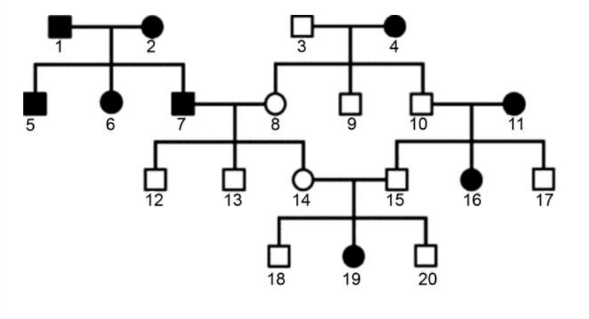 Heredograma representando cruzamentos de cães numerados de 1 a 20, com círculos representando fêmeas e quadrados representando machos; símbolos preenchidos em preto indicam indivíduos afetados pela narcolepsia e símbolos brancos indicam indivíduos saudáveis.