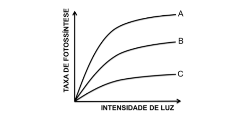 Gráfico da taxa de fotossíntese em função da intensidade de luz, mostrando três curvas crescentes que tendem à saturação, identificadas de cima para baixo como A, B e C.