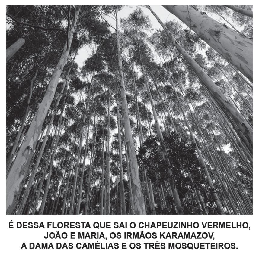F1 Cartaz publicitário mostrando uma plantação de árvores (eucaliptos) fotografadas de baixo para cima em direção ao céu e, abaixo, a frase em destaque: "É DESSA FLORESTA QUE SAI O CHAPEUZINHO VERMELHO, JOÃO E MARIA, OS IRMÃOS KARAMAZOV, A DAMA DAS CAMÉLIAS E OS TRÊS MOSQUETEIROS."