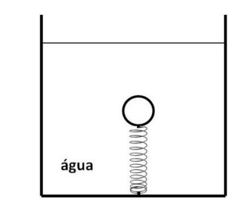 Recipiente preenchido com água, contendo uma esfera submersa conectada ao fundo por uma mola disposta verticalmente.