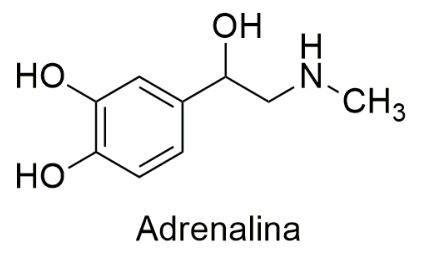 Estrutura molecular da adrenalina