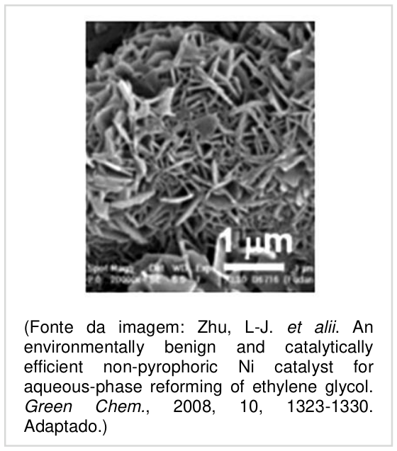 F1 Imagem de microscopia eletrônica de varredura de níquel em forma porosa, com indicação de escala de 1 µm, acompanhada da referência bibliográfica