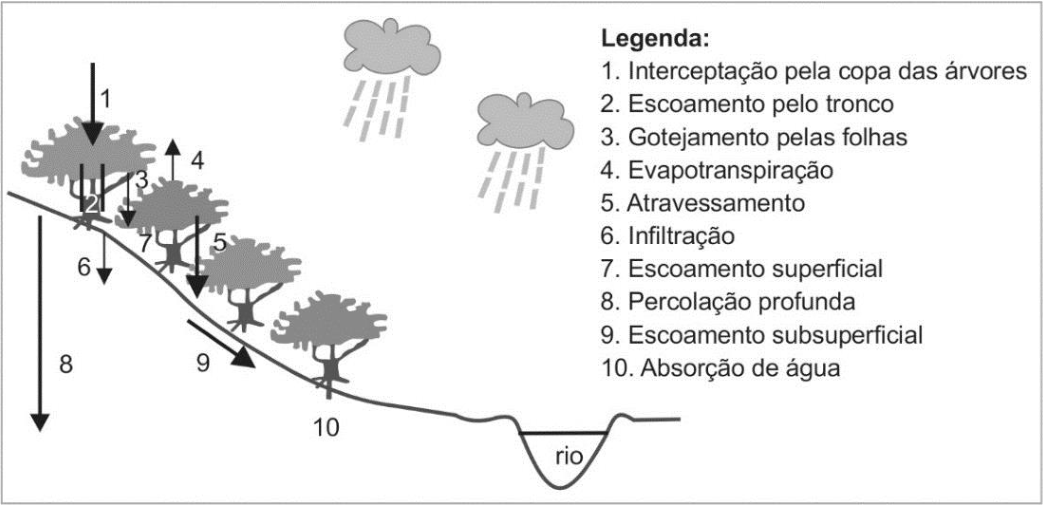 Esquema dos componentes do ciclo hidrológico em uma encosta vegetada que desce até um rio. Há árvores sobre a encosta, nuvens com chuva e setas indicando os processos numerados. Legenda: 1. Interceptação pela copa das árvores; 2. Escoamento pelo tronco; 3. Gotejamento pelas folhas; 4. Evapotranspiração; 5. Atravessamento; 6. Infiltração; 7. Escoamento superficial; 8. Percolação profunda; 9. Escoamento subsuperficial; 10. Absorção de água. O curso de água na base da encosta está identificado como “rio”.