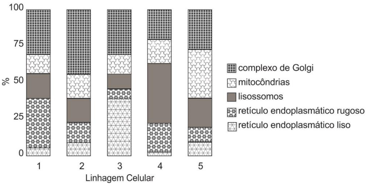 Gráfico de barras verticais empilhadas mostrando a porcentagem de diferentes organelas (complexo de Golgi, mitocôndrias, lisossomos, retículo endoplasmático rugoso e retículo endoplasmático liso) em cinco diferentes linhagens celulares, identificadas de 1 a 5 no eixo horizontal.