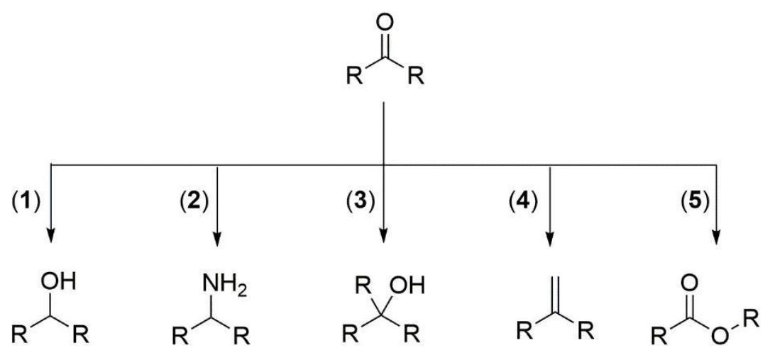 Esquema mostrando cinco rotas de síntese numeradas de 1 a 5 a partir de uma mesma cetona. A rota 1 produz um álcool secundário; a rota 2 produz uma amina; a rota 3 produz um álcool terciário; a rota 4 produz um alceno; e a rota 5 produz um éster.