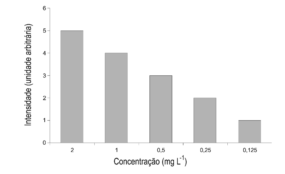 F1 Gráfico de barras relacionando a Intensidade (unidade arbitrária), no eixo vertical de 0 a 6, com a Concentração (mg L⁻¹), no eixo horizontal com valores decrescentes de 2 a 0,125. As alturas das barras são: concentração 2 tem intensidade 5; 1 tem intensidade 4; 0,5 tem intensidade 3; 0,25 tem intensidade 2; e 0,125 tem intensidade 1.