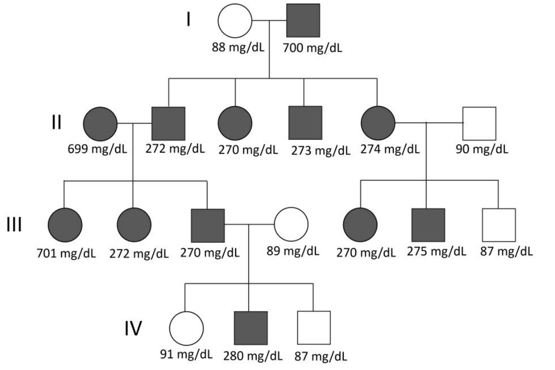 F1 Heredograma de quatro gerações (I a IV) indicando os níveis de LDL em mg/dL abaixo de cada indivíduo, representados por círculos (mulheres) e quadrados (homens), hachurados ou em branco.