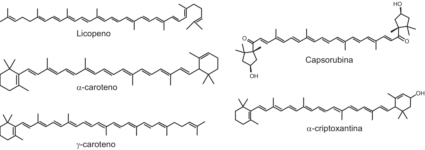 Fórmulas estruturais dos pigmentos Licopeno, Capsorubina, alfa-caroteno, alfa-criptoxantina e gama-caroteno