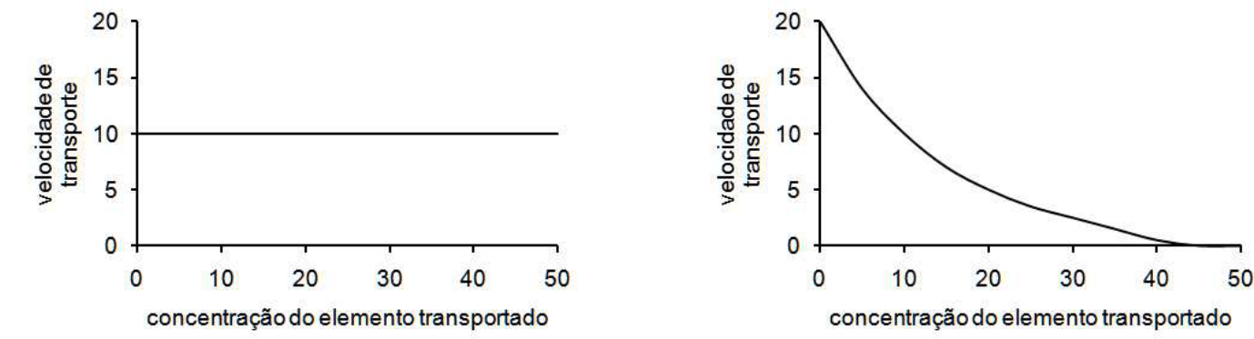 Dois gráficos, correspondentes à difusão simples, à esquerda, e ao transporte ativo, à direita. Em ambos, o eixo horizontal é “concentração do elemento transportado”, com valores 0, 10, 20, 30, 40 e 50; o eixo vertical é “velocidade de transporte”, com valores 0, 5, 10, 15 e 20. À esquerda, uma reta horizontal mantém a velocidade em 10 em toda a faixa de concentração. À direita, uma curva decresce de (0, 20), com declive progressivamente menor, até atingir velocidade zero próximo da concentração 45, mantendo-se em zero até 50.