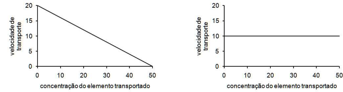 Dois gráficos, correspondentes à difusão simples, à esquerda, e ao transporte ativo, à direita. Em ambos, o eixo horizontal é “concentração do elemento transportado”, com valores 0, 10, 20, 30, 40 e 50; o eixo vertical é “velocidade de transporte”, com valores 0, 5, 10, 15 e 20. À esquerda, uma reta decresce de (0, 20) a (50, 0). À direita, uma reta horizontal mantém a velocidade em 10 em toda a faixa de concentração.