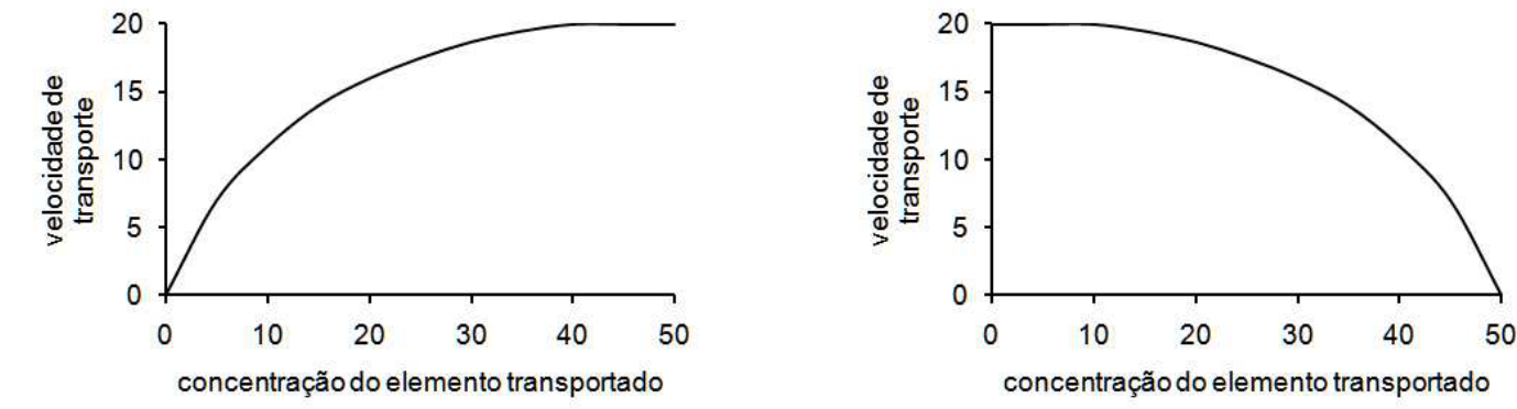 Dois gráficos, correspondentes à difusão simples, à esquerda, e ao transporte ativo, à direita. Em ambos, o eixo horizontal é “concentração do elemento transportado”, com valores 0, 10, 20, 30, 40 e 50; o eixo vertical é “velocidade de transporte”, com valores 0, 5, 10, 15 e 20. À esquerda, uma curva cresce de (0, 0), com inclinação progressivamente menor, até atingir um patamar em 20 próximo da concentração 40, mantendo-se até 50. À direita, a velocidade começa em 20, permanece aproximadamente constante nas concentrações iniciais e depois decresce com declive cada vez mais acentuado até (50, 0).