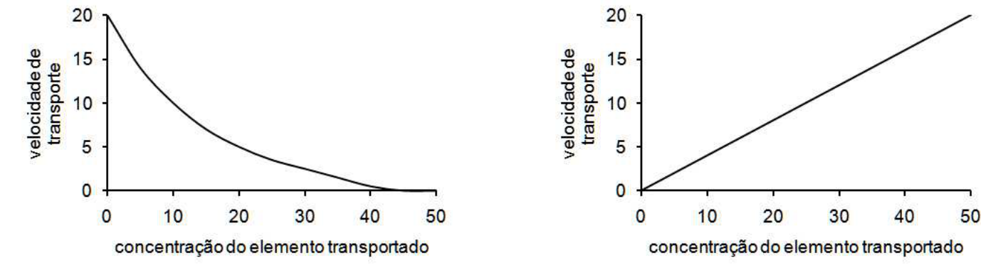 Dois gráficos, correspondentes à difusão simples, à esquerda, e ao transporte ativo, à direita. Em ambos, o eixo horizontal é “concentração do elemento transportado”, com valores 0, 10, 20, 30, 40 e 50; o eixo vertical é “velocidade de transporte”, com valores 0, 5, 10, 15 e 20. À esquerda, uma curva decresce de (0, 20), com declive progressivamente menor, até atingir velocidade zero próximo da concentração 45, mantendo-se em zero até 50. À direita, uma reta cresce de (0, 0) a (50, 20).