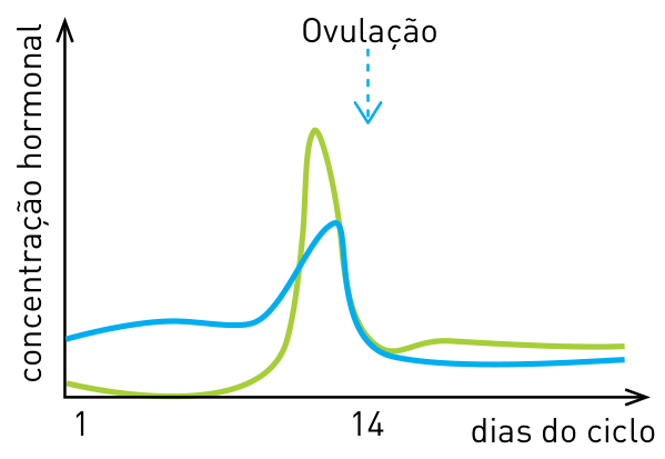Gráfico da variação das concentrações hormonais ao longo de um ciclo menstrual de 28 dias, com picos de LH e FSH próximos ao 14º dia (ovulação)