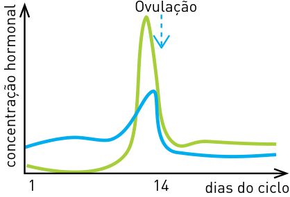 Gráfico de concentração hormonal com picos de LH e FSH no 14º dia
